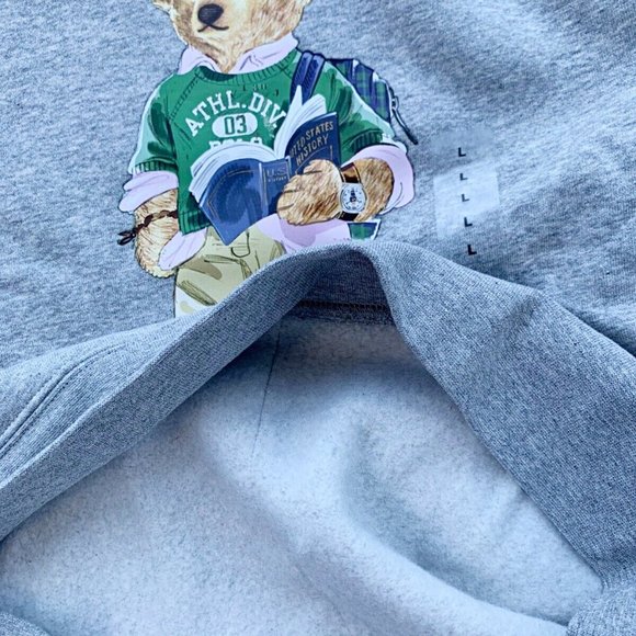 NWT POLO RALPH LAUREN BIG Boys L 14-16 Color Blocked BEAR Fleece Hoodie - Picture 6 of 7